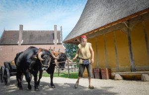 middeleeuwen-SCHAPEN,SPEL,OSkar (1 van 9).jpg